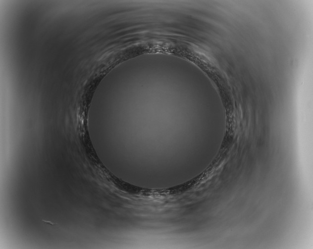 X0000088701013200705311211