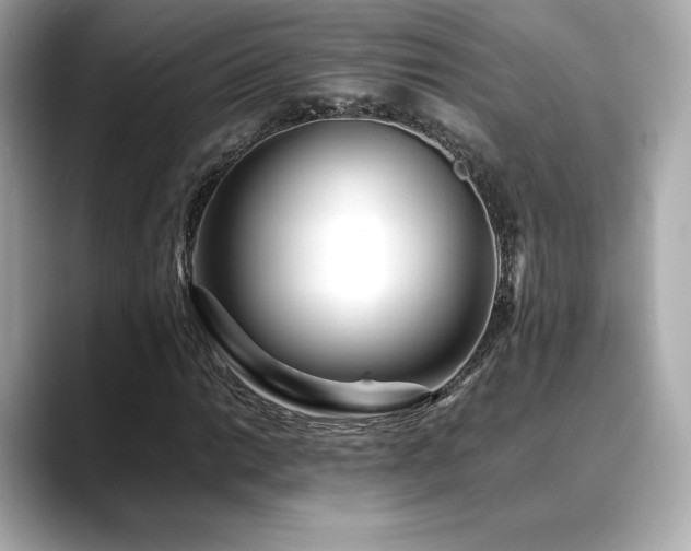 X0000088701014200705311211