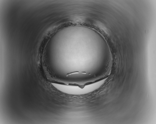 X0000088701016200705311211