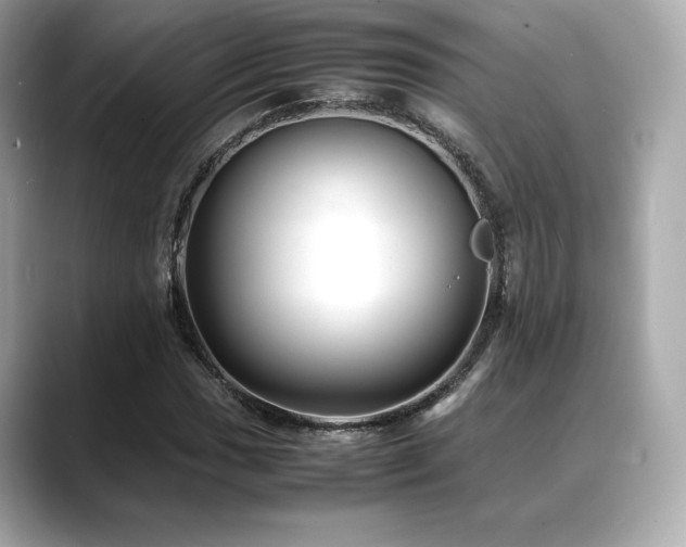 X0000088701017200705311211
