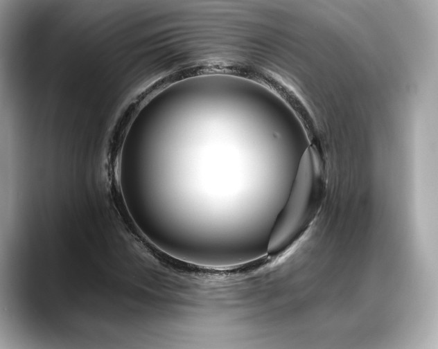 X0000088701018200705311211
