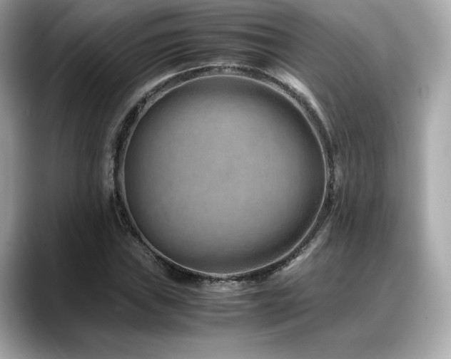X0000088701019200705311211