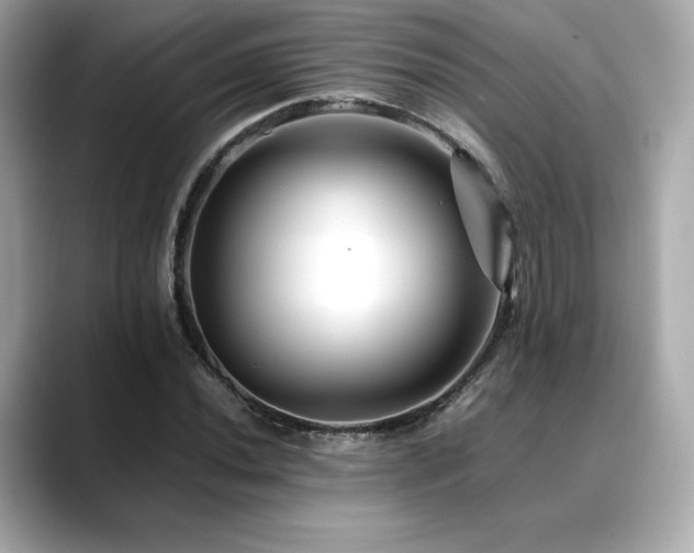 X0000088701020200705311211