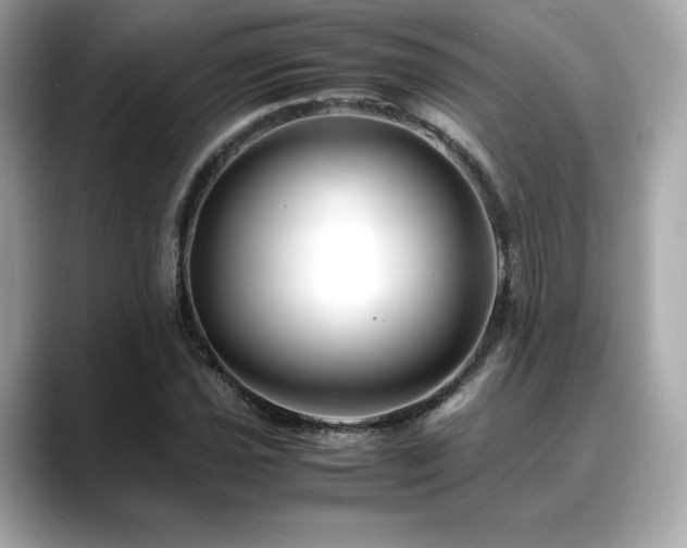 X0000088701021200705311211