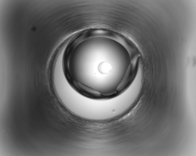 X0000088701022200705311211