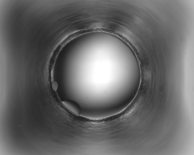 X0000088701023200705311211