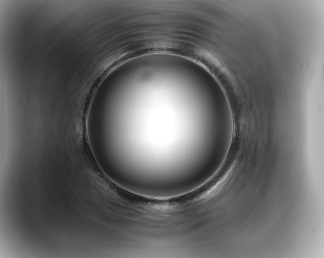 X0000088701025200705311211