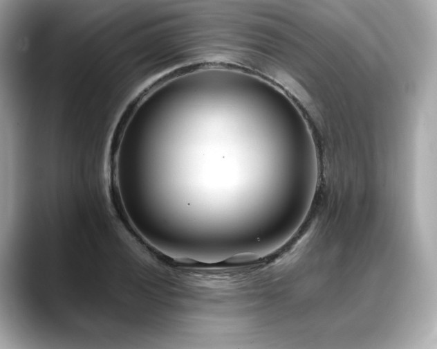 X0000088701028200705311211