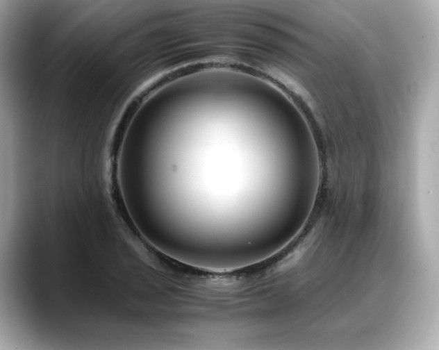 X0000088701029200705311211