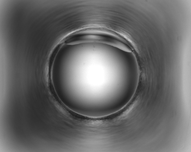 X0000088701030200705311211