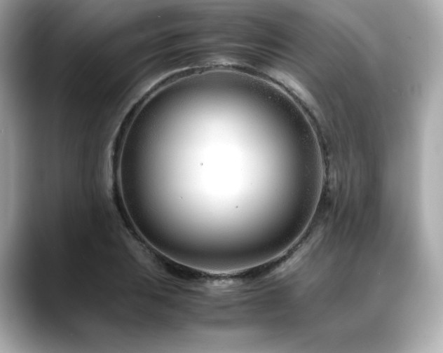 X0000088701031200705311211
