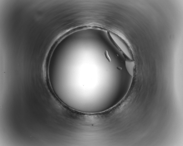 X0000088701032200705311211