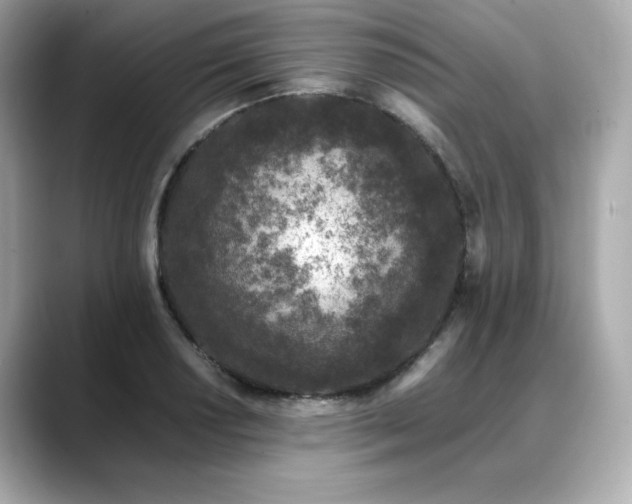 X0000088701034200705311211
