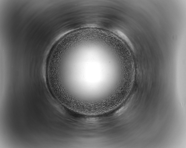 X0000088701035200705311211