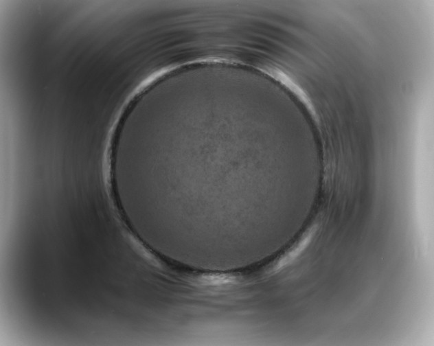 X0000088701037200705311211
