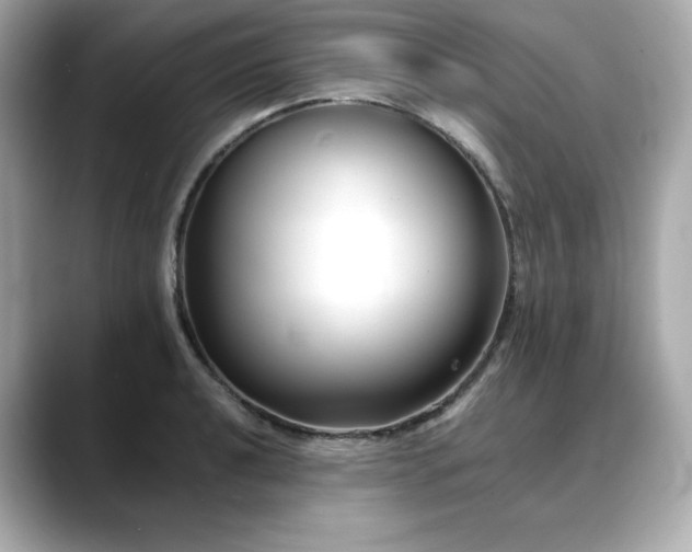X0000088701040200705311211