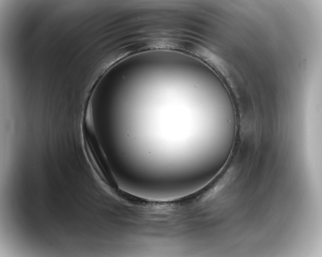 X0000088701041200705311211