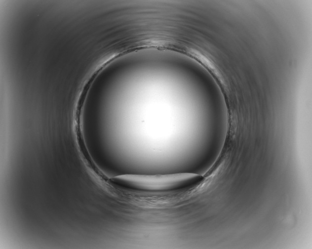 X0000088701042200705311211