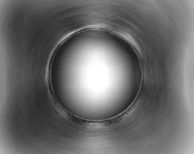 X0000088701044200705311211