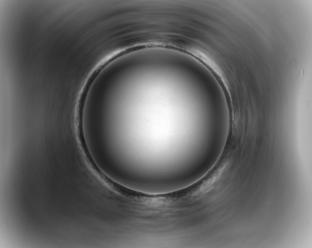 X0000088701045200705311211