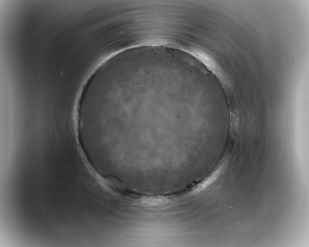 X0000088701046200705311211