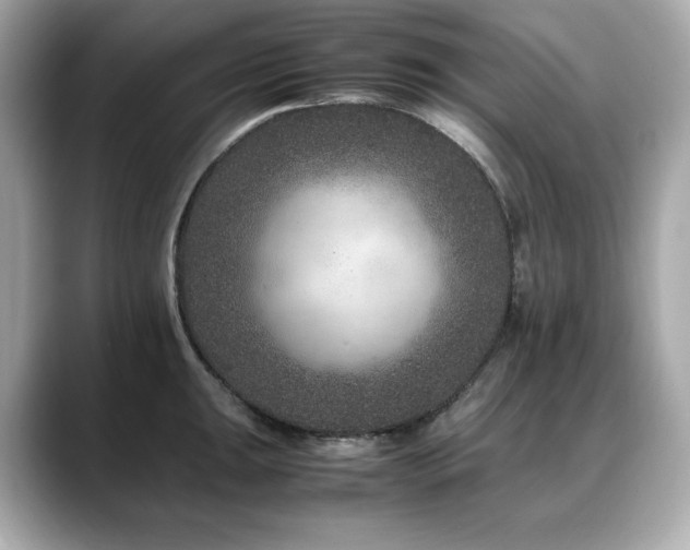 X0000088701047200705311211