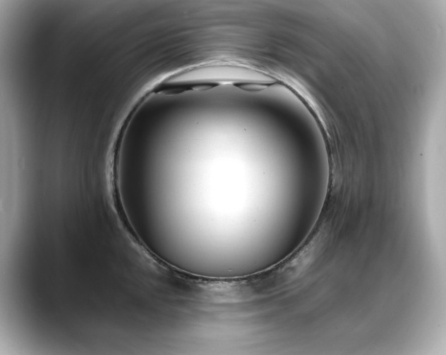 X0000088701048200705311211