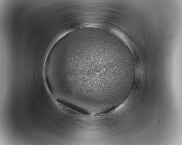 X0000088701050200705311211