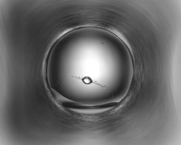 X0000088701053200705311211