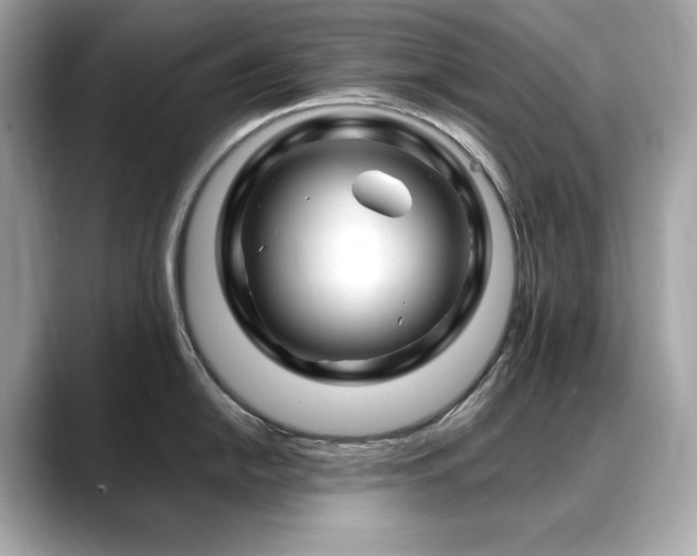X0000088701054200705311211