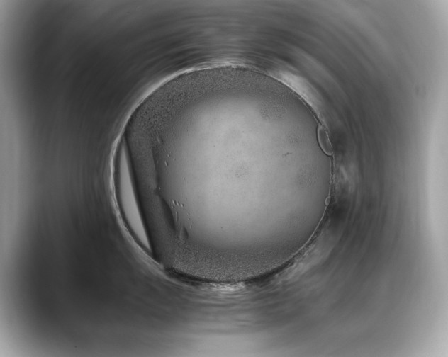 X0000088701055200705311211
