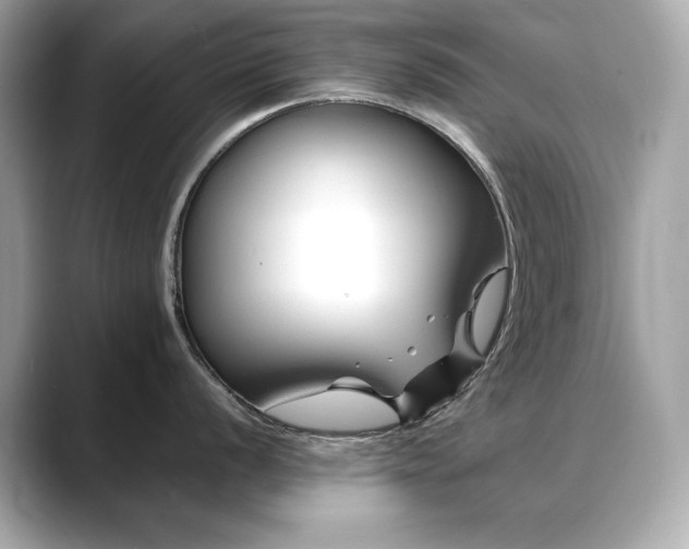X0000088701056200705311211