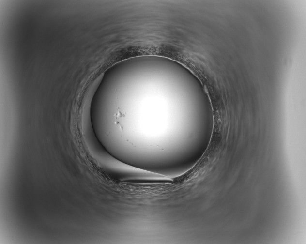 X0000088701057200705311211
