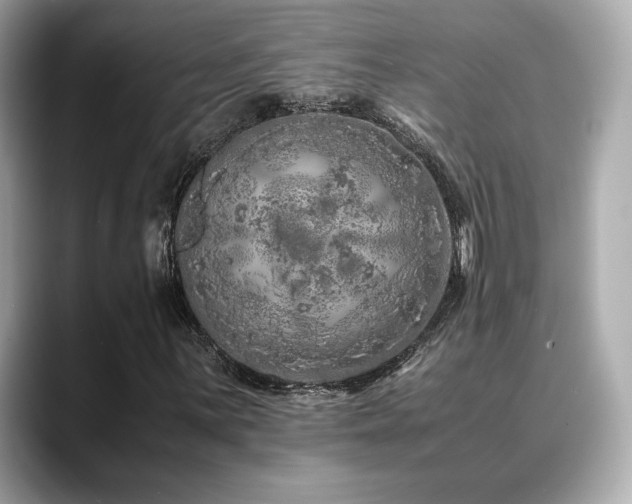 X0000088701059200705311211