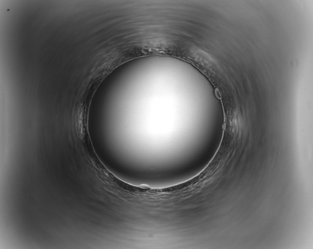 X0000088701060200705311211