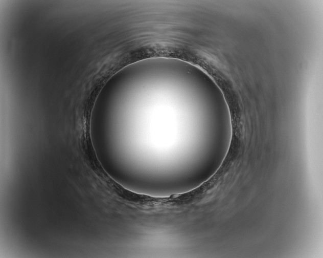 X0000088701061200705311211