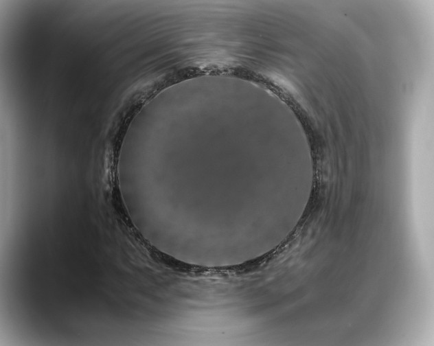 X0000088701063200705311211