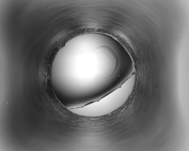 X0000088701064200705311211