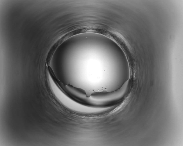 X0000088701065200705311211