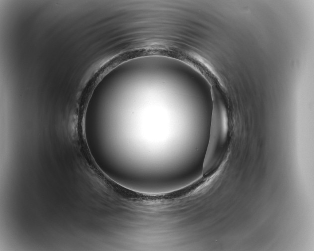 X0000088701066200705311211