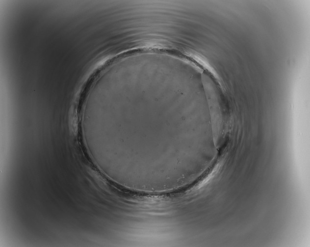 X0000088701067200705311211