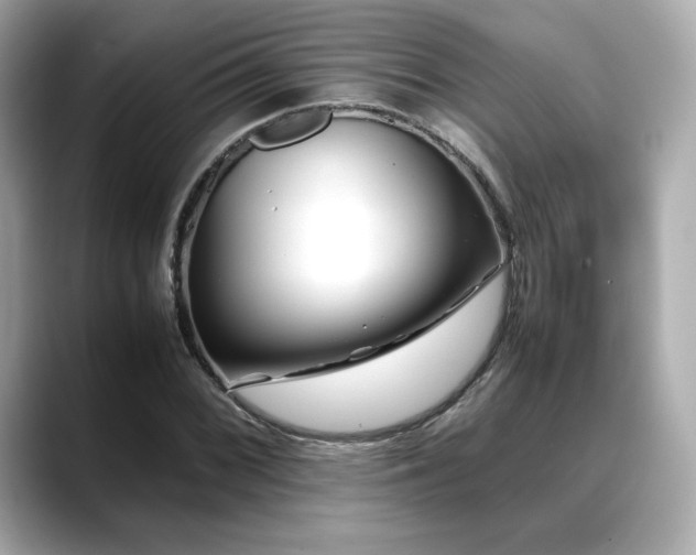 X0000088701068200705311211