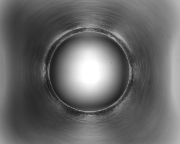 X0000088701070200705311211