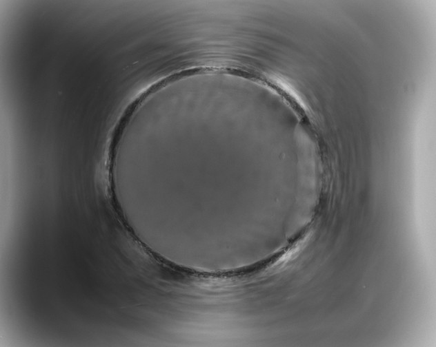 X0000088701071200705311211