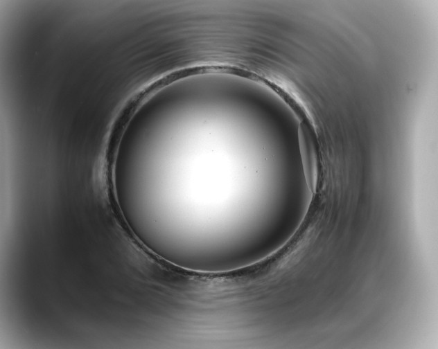 X0000088701072200705311211