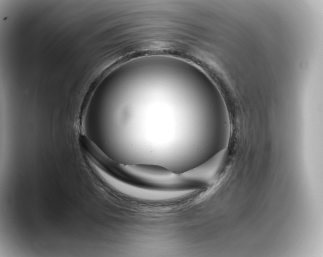 X0000088701073200705311211