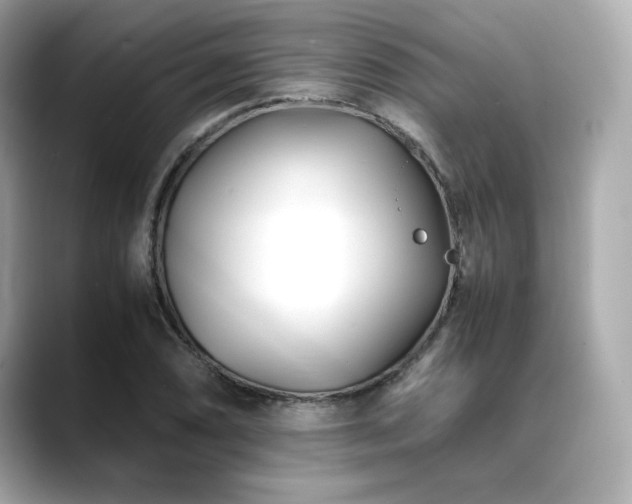 X0000088701074200705311211