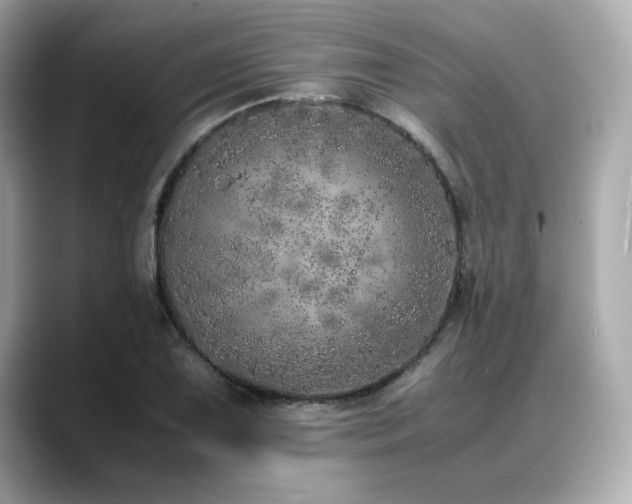 X0000088701075200705311211