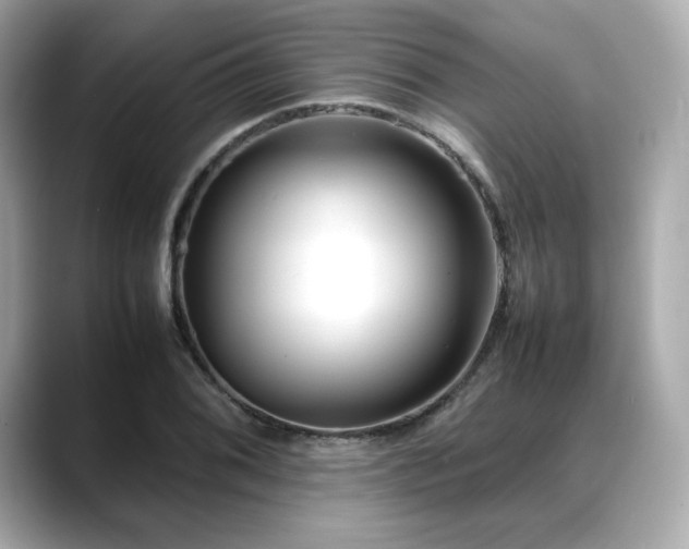 X0000088701076200705311211