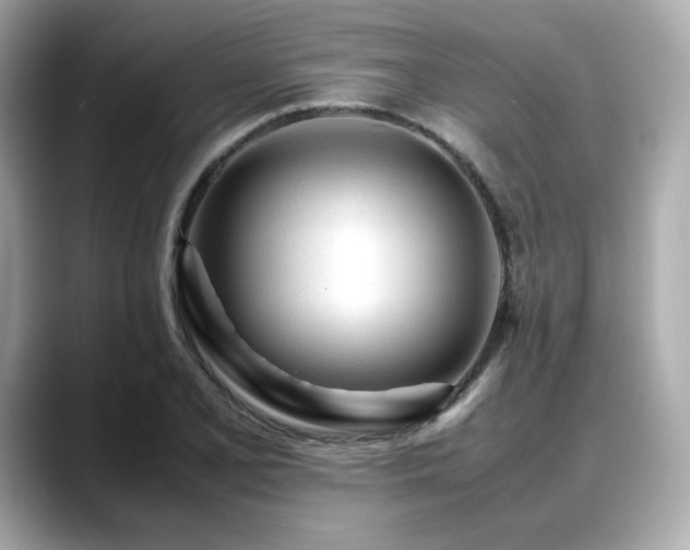 X0000088701077200705311211